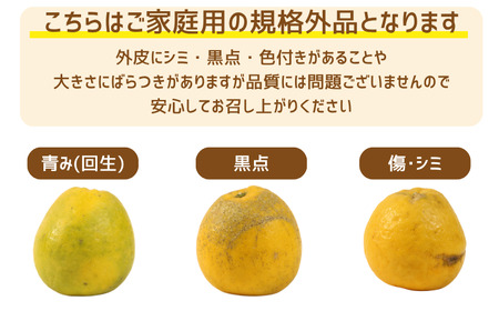 河内晩柑 8kg 河内晩柑 愛なんよ