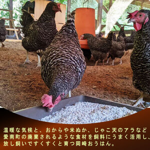 平飼い地鶏のミンチ 500g ひきにく 挽肉 ブランド 希少 ローカルスタンダード