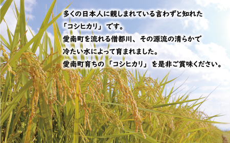 先行予約 新米 令和8年産 コシヒカリ 10kg 20000円 お米 白米 精米 米 こめ 産地直送 国産 農家直送 期間限定 数量限定 特産品 先行 事前 受付 令和8年度産 2026年産 もっちり 粘り 甘み おいしい おにぎり こしひかり 内祝い お祝い 贈答品 お返し プレゼント ギフト 土産 御礼 お礼 お取り寄せ 田中均 愛南町 愛媛県