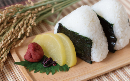 先行予約 新米 令和8年産 コシヒカリ 10kg 20000円 お米 白米 精米 米 こめ 産地直送 国産 農家直送 期間限定 数量限定 特産品 先行 事前 受付 令和8年度産 2026年産 もっちり 粘り 甘み おいしい おにぎり こしひかり 内祝い お祝い 贈答品 お返し プレゼント ギフト 土産 御礼 お礼 お取り寄せ 田中均 愛南町 愛媛県