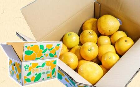 訳あり 愛南ゴールド（河内晩柑) 5kg 柑橘 愛南ゴールド 青果市場