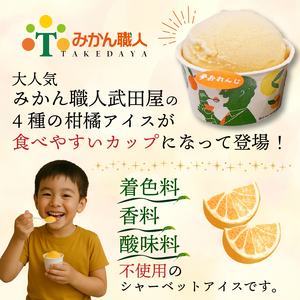柑橘 アイス 4種 24個 アイス 武田屋
