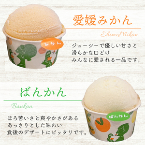 柑橘 アイス 4種 24個 アイス 武田屋