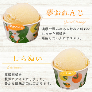 柑橘 アイス 4種 24個 アイス 武田屋