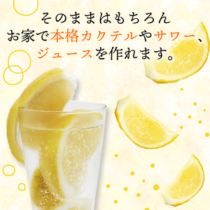 冷凍 みかん 皮付き 河内晩柑 500g×2袋 冷凍 みかん 武田屋