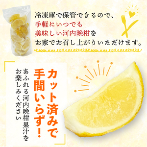 冷凍 みかん 皮付き 河内晩柑 500g×2袋 冷凍 みかん 武田屋