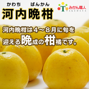 冷凍 みかん 河内晩柑 外皮なし 500g×2袋 冷凍みかん 武田屋