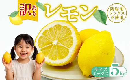 訳ありレモン5kg ワックス防腐剤不使用 レモンレモンレモンレモン