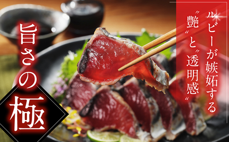 訳あり 【かつおのたたき】かつおのたたき 3.3kg 鰹 ハマスイ FN-SupportProject 増量 年末企画