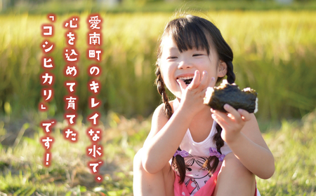 令和7年産新米 コシヒカリ 10kg | コシヒカリ 愛媛県 愛南町