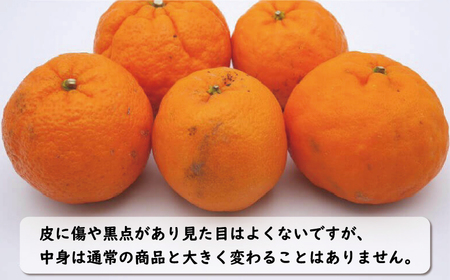 【愛南産ポンカン】冬の柑橘ポンカン 3kg