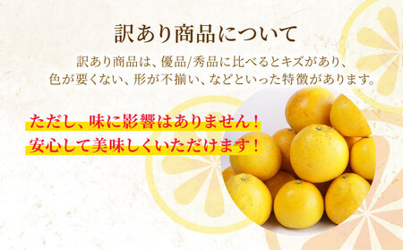 山口農園 訳あり 河内晩柑 10kg 愛南ゴールド 河内晩柑