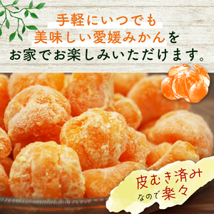 冷凍 みかん 500g×2袋 みかん 武田屋