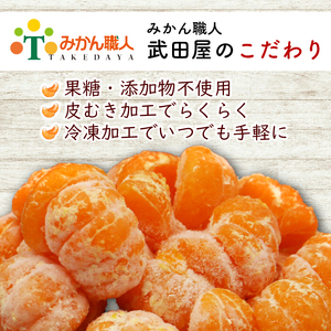 冷凍 みかん 500g×2袋 みかん 武田屋