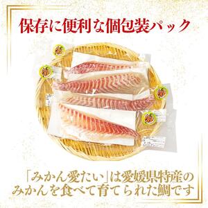 真鯛 みかん 刺身 600g 真鯛