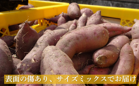 訳あり 熟成 紅はるか 10kg サイズミックス さつまいも 愛なんよ