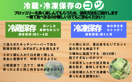 収穫当日発送 ブロッコリー 約3kg 朝どれ 訳あり ブロッコリー 愛なんよ