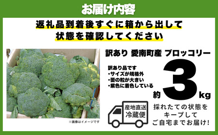 収穫当日発送 ブロッコリー 約3kg 朝どれ 訳あり ブロッコリー 愛なんよ