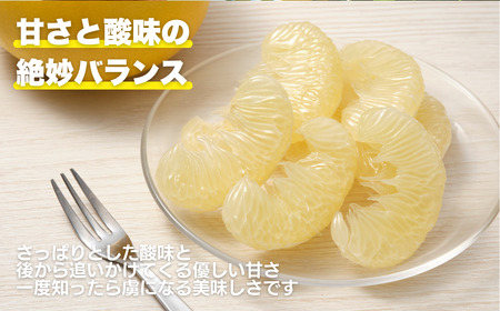 土佐 文旦 7kg 訳あり 文旦 愛なんよ