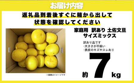 土佐 文旦 7kg 訳あり 文旦 愛なんよ