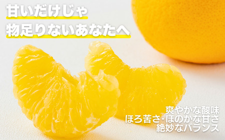 甘夏 8kg 訳あり 甘夏 愛なんよ