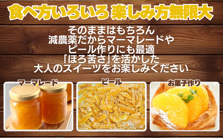 甘夏 8kg 訳あり 甘夏 愛なんよ