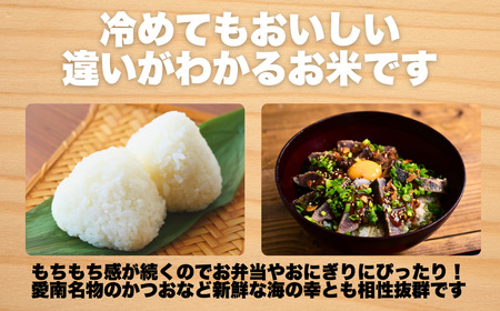 先行予約 】 新米 5kg 愛媛県 愛南町産 ヒノヒカリ 令和7年産
