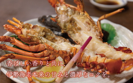 海鮮 福袋 伊勢海老 クエ セット 伊勢エビ クエ ハマスイ