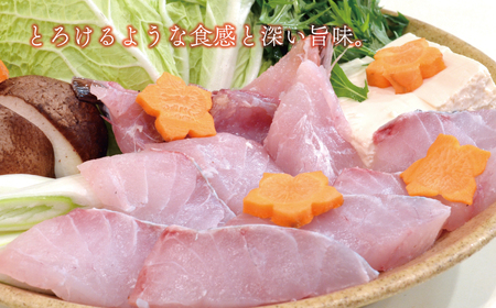 海鮮 福袋 伊勢海老 クエ セット 伊勢エビ クエ ハマスイ