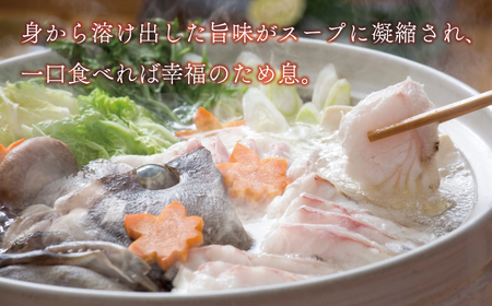 海鮮 福袋 伊勢海老 クエ セット 伊勢エビ クエ ハマスイ