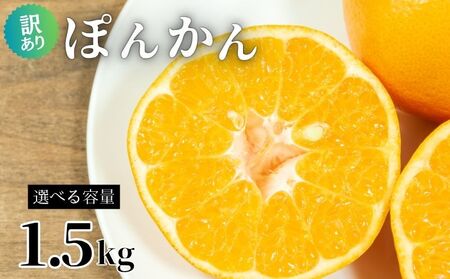 【愛南産ポンカン】ポンカン 約1.5kg