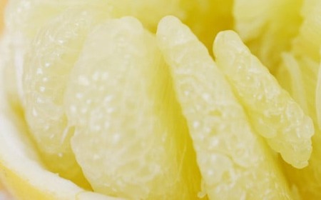 吉本農園 土佐文旦 4kg 訳あり文旦