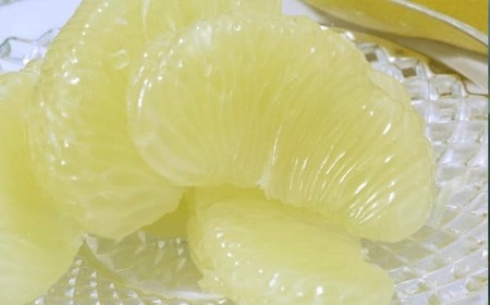 吉本農園 土佐文旦 4kg 贈答用 文旦