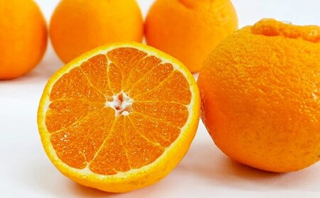 【 デコポン と同品種】 不知火 3kg みかん しらぬい 吉田農園