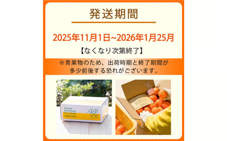 【ご家庭用】 みかん 5kg 小玉 訳あり 愛媛 温州みかん