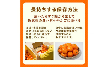 【ご家庭用】 みかん 5kg 小玉 訳あり 愛媛 温州みかん