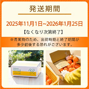 【ご家庭用】 みかん 10kg 小玉 訳あり 愛媛 温州みかん