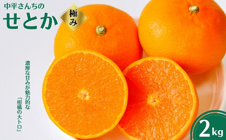 【せとか】 せとか 極み 2kg 柑橘 みかん 中平農園 愛媛県 愛南町