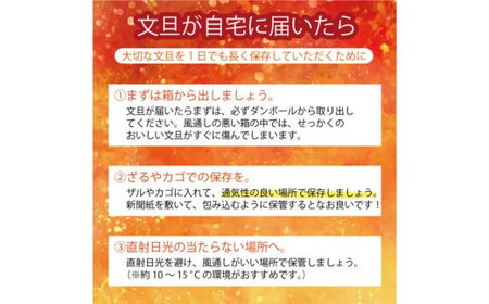 数量限定 訳あり 土佐文旦 9kg 10000円 みかん 文旦