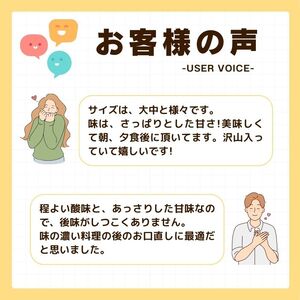 先行受付 訳あり はるか 2kg 【発送時期 1月中旬～3月】 なくなり次第終了 柑橘 かんきつ 期間限定 みかん 蜜柑 冬 糖度 みかん職人武田屋