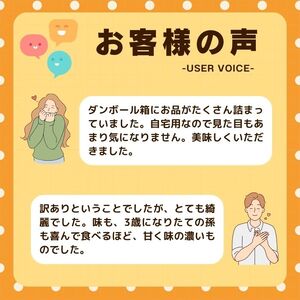 先行受付 訳あり 不知火 1kg 【発送期間：2月中旬～なくなり次第終了 】 しらぬい かんきつ 柑橘 みかん 蜜柑 でこぽん おやつ きず 傷 ふぞろい 不揃いフルーツ 果物 くだもの 果実 愛媛県 愛南町 みかん職人武田屋