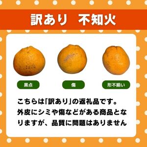 先行受付 訳あり 不知火 1kg 【発送期間：2月中旬～なくなり次第終了 】 しらぬい かんきつ 柑橘 みかん 蜜柑 でこぽん おやつ きず 傷 ふぞろい 不揃いフルーツ 果物 くだもの 果実 愛媛県 愛南町 みかん職人武田屋