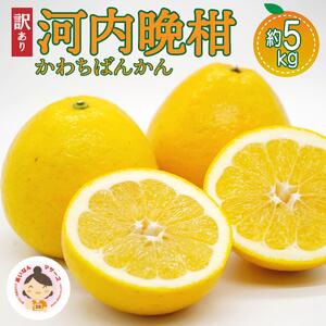 訳あり 河内晩柑 5kg 晩柑 傷あり 家庭用 あいなんマザーズ かわちばんかん 柑橘 愛媛 みかん 果物 フルーツ 愛南町