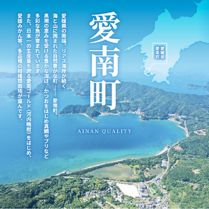 訳あり 河内晩柑 愛南ゴールド 10kg 河内晩柑 清家bv