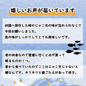 山田のじゃこ天 40枚 じゃこ天 すり身 さつま揚げ 郷土料理 おつまみ