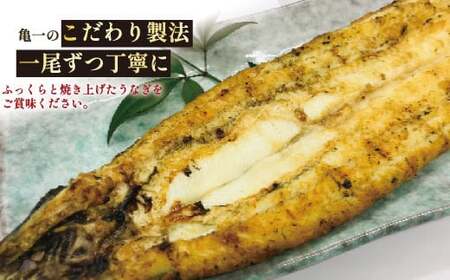 うなぎ 白焼き 1尾 白焼き