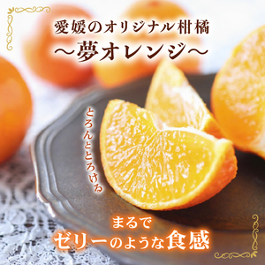 【高評価★4.6】 訳あり 夢オレンジ 3kg 訳あり みかん発送：11月中旬～1月下旬 愛媛県 愛南町 みかん職人武田屋