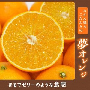 【高評価★4.6】 訳あり 夢オレンジ 3kg 訳あり みかん発送：11月中旬～1月下旬 愛媛県 愛南町 みかん職人武田屋