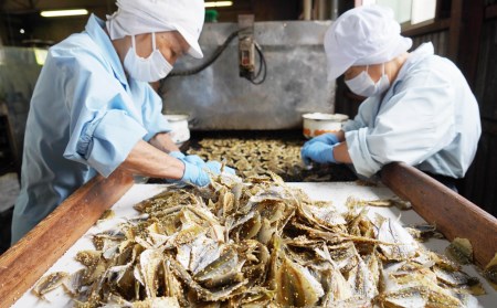 訳あり 焼 鰯 いわし 400g 鯵 あじ 400g 計 800g 定番 おつまみ セット 規格外 不揃い 傷 珍味 差入 プレゼント 贈り物 贈答 生産者 産地 直送 産直 宇和海 愛媛県愛南町 ふるさと納税サイト ふるなび