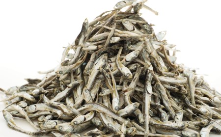 煮干し 小羽 いりこ 350g × 2 煮干し